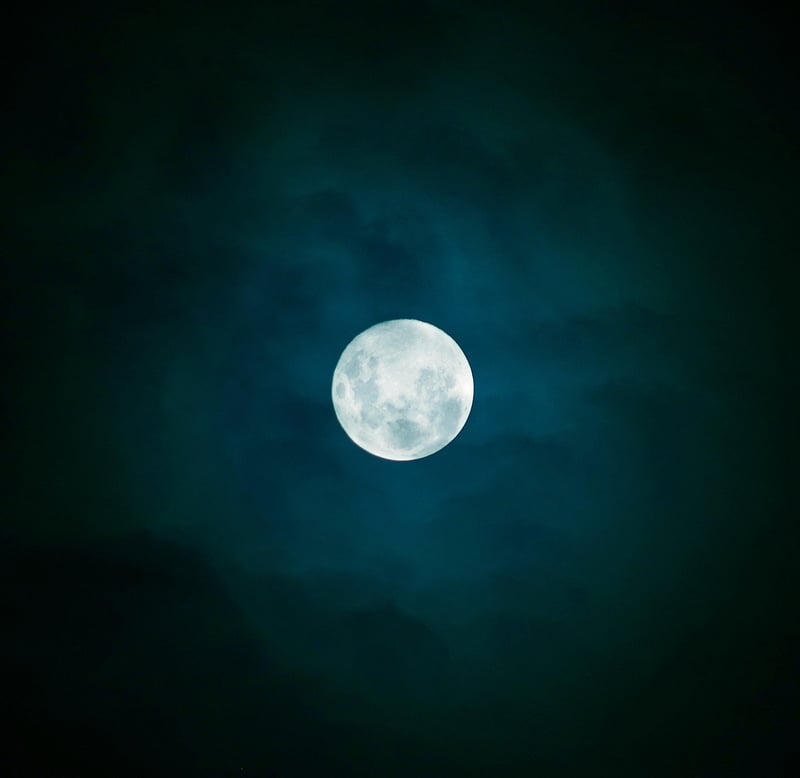 Moonlit Menus